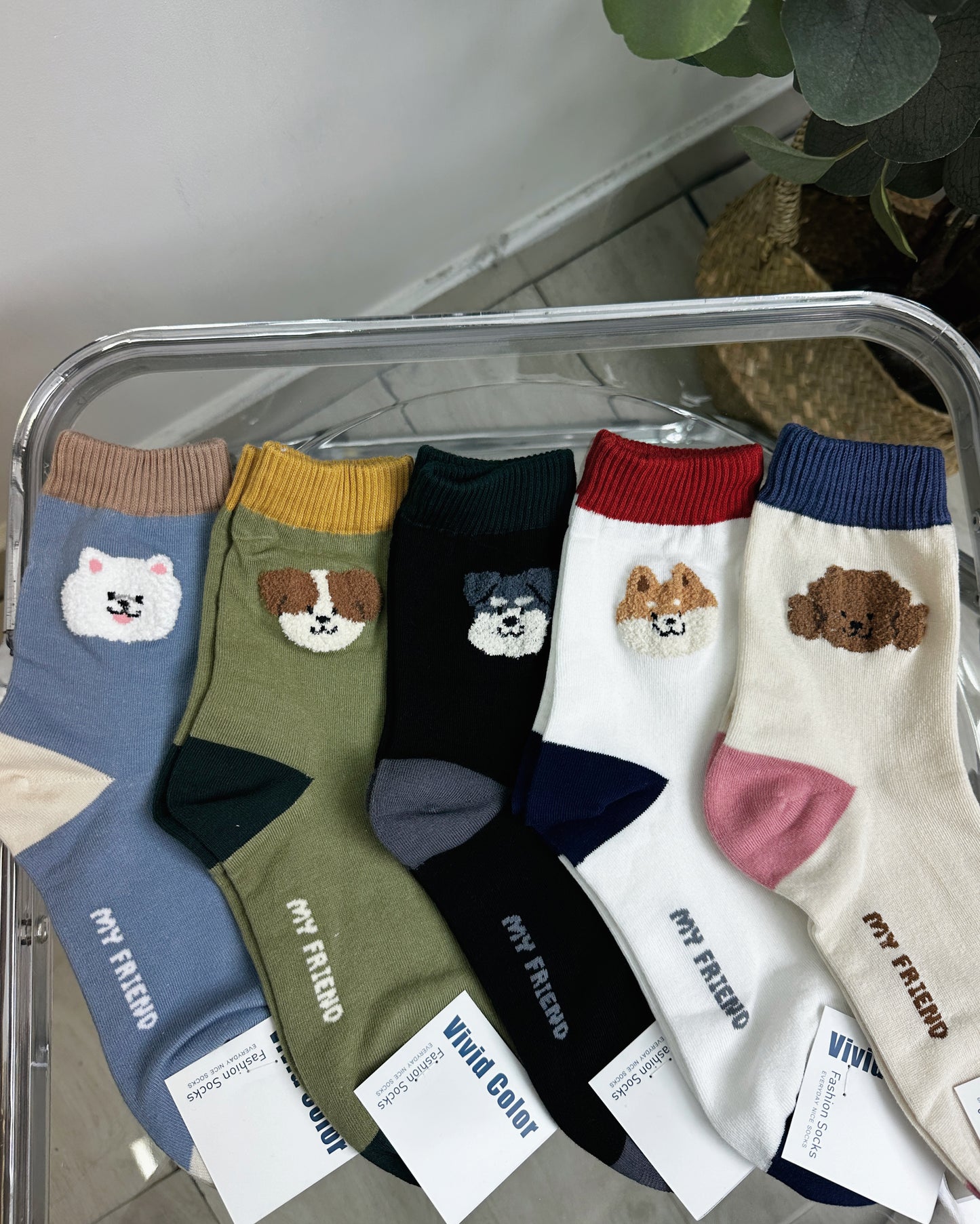 拼色狗仔襪(一套五對)