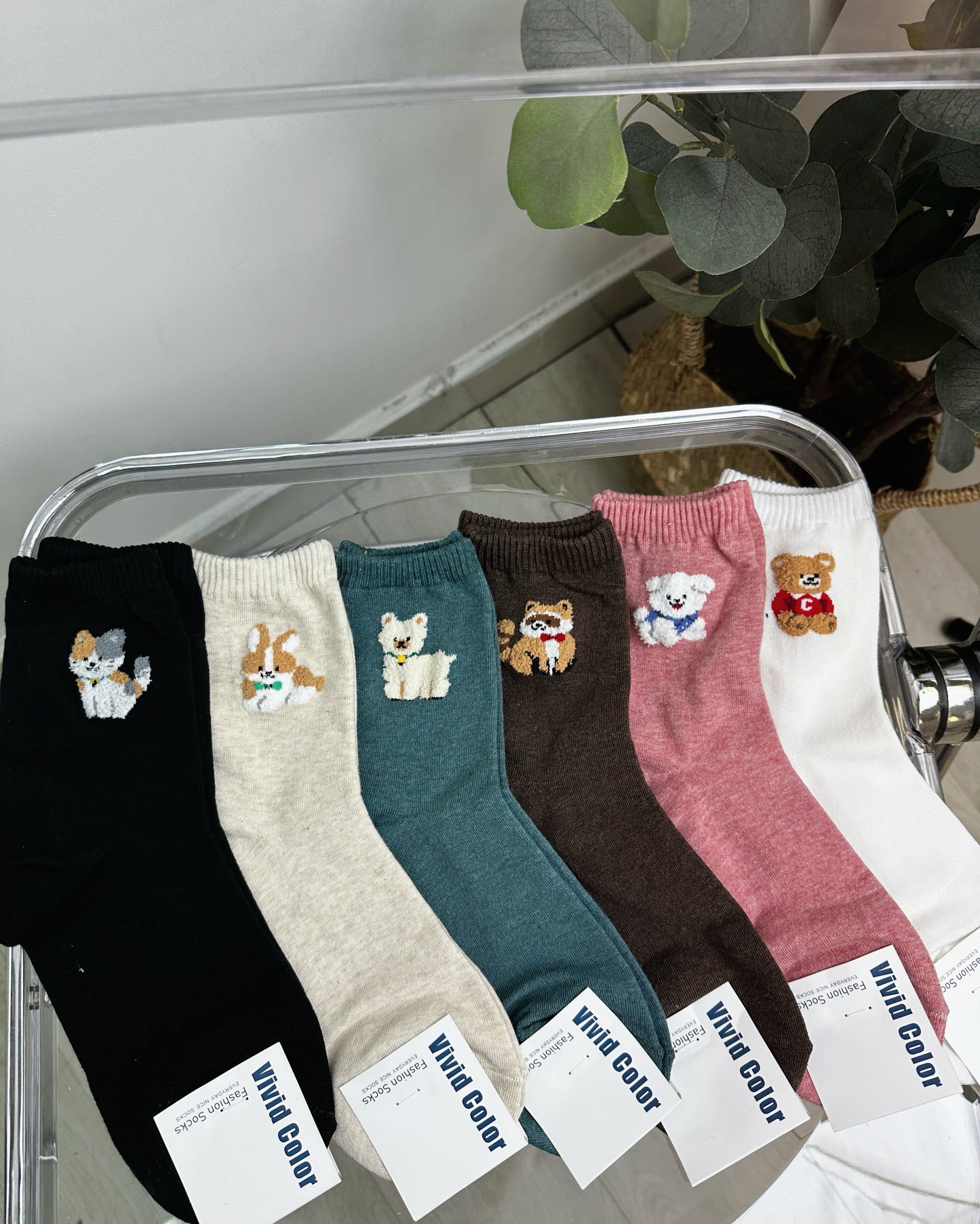 動物襪仔(一套六對)